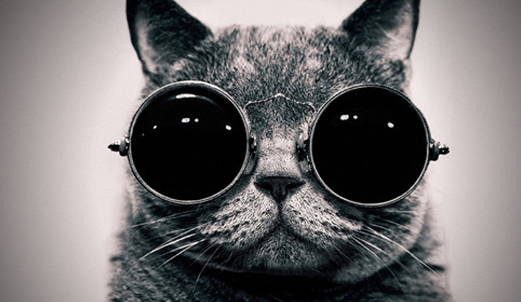 小单的个人主页（背景预览） - 主页背景设置 - 站酷设计师小单原创素材 - 站酷ZCOOL