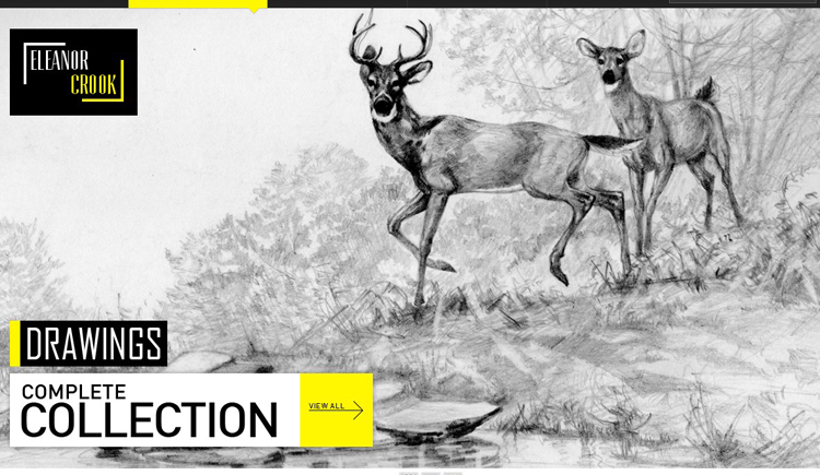 冷風過后的個人主頁（背景預(yù)覽） - 主頁背景設(shè)置 - 站酷設(shè)計師冷風過后原創(chuàng)素材 - 站酷ZCOOL