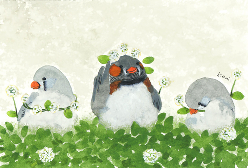 小耳朵喵的个人主页（背景预览） - 主页背景设置 - 站酷设计师小耳朵喵原创素材 - 站酷ZCOOL