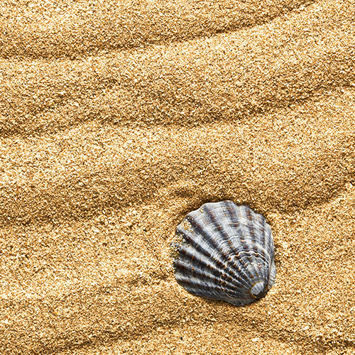 Cc丶Allen的个人主页（背景预览） - 主页背景设置 - 站酷设计师Cc丶Allen原创素材 - 站酷ZCOOL