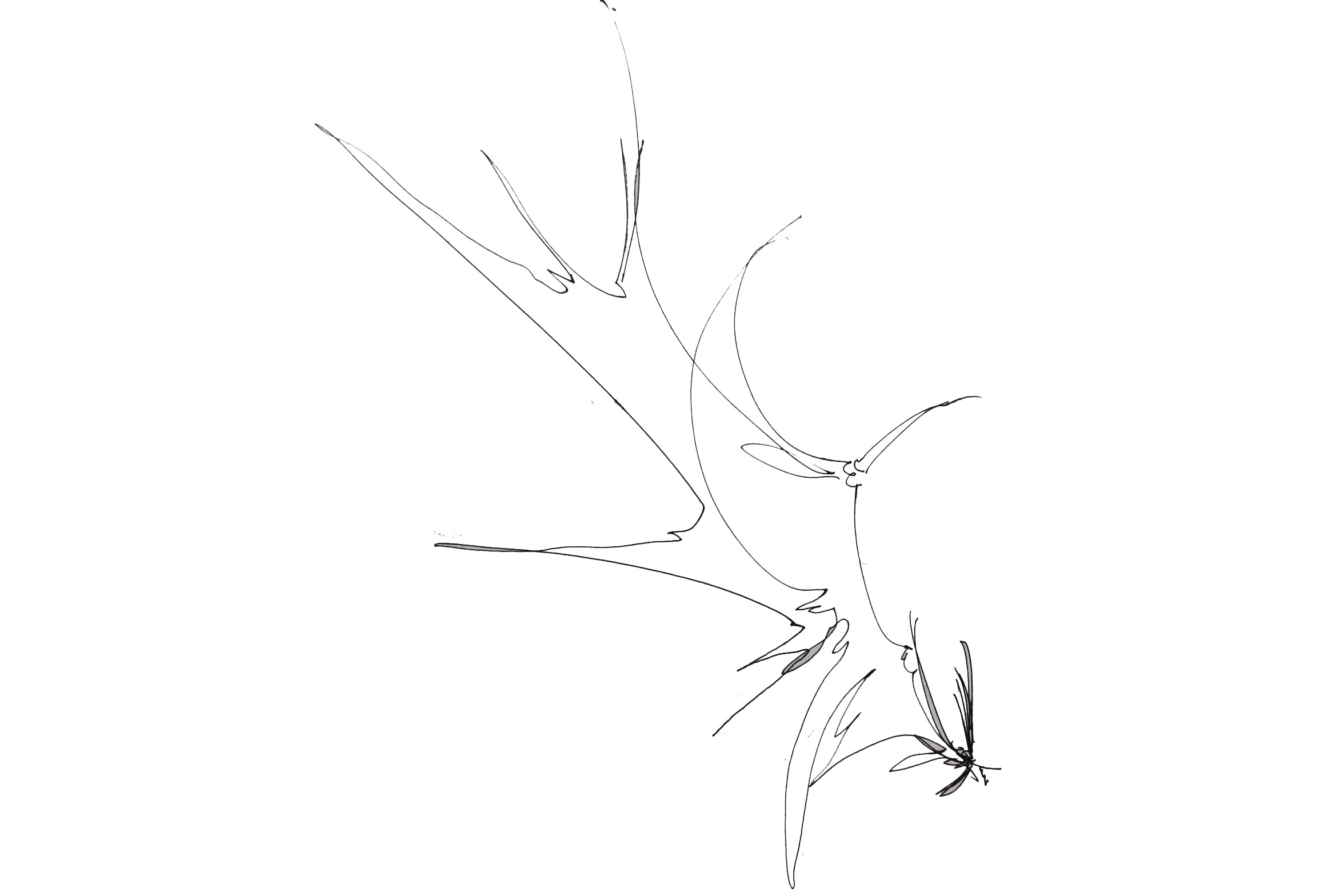 小伙子H的個(gè)人主頁（背景預(yù)覽） - 主頁背景設(shè)置 - 站酷設(shè)計(jì)師小伙子H原創(chuàng)素材 - 站酷ZCOOL