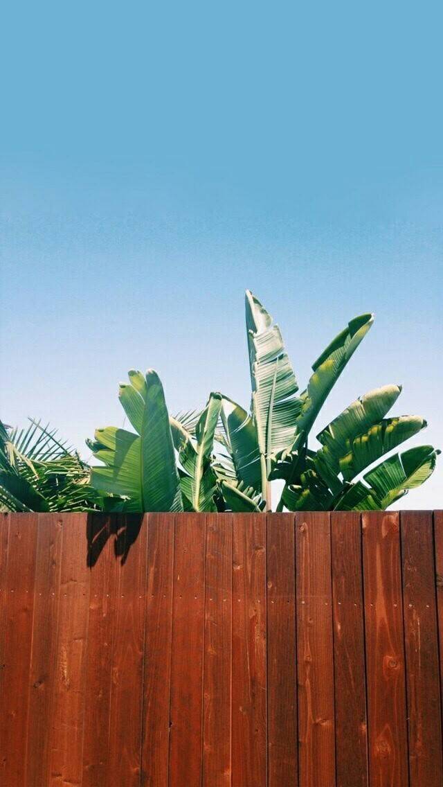 ORANGE阿橙的个人主页（背景预览） - 主页背景设置 - 站酷设计师ORANGE阿橙原创素材 - 站酷ZCOOL