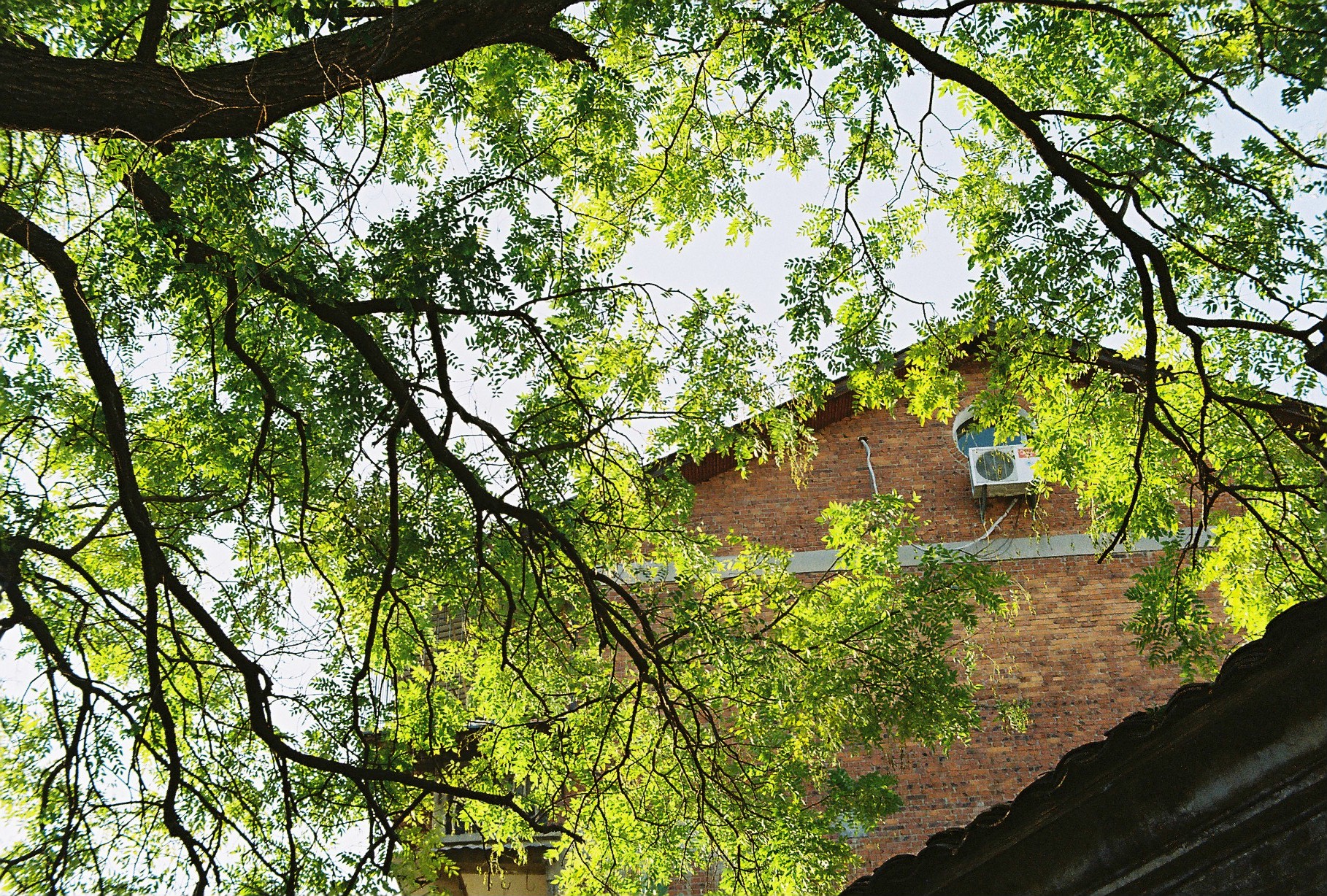 _Dipper的个人主页（背景预览） - 主页背景设置 - 站酷设计师_Dipper原创素材 - 站酷ZCOOL