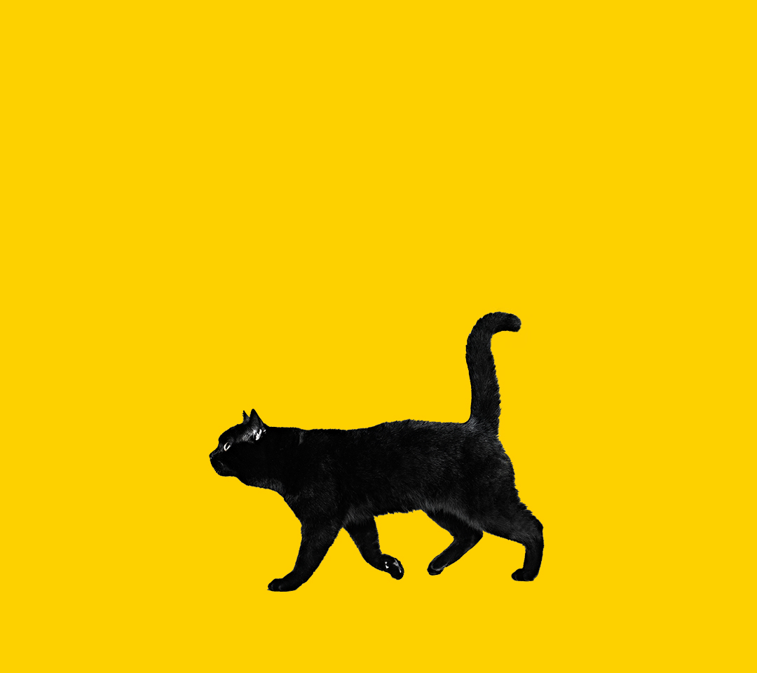 KAI開(kāi)開(kāi)的個(gè)人主頁(yè)（背景預(yù)覽） - 主頁(yè)背景設(shè)置 - 站酷設(shè)計(jì)師KAI開(kāi)開(kāi)原創(chuàng)素材 - 站酷ZCOOL