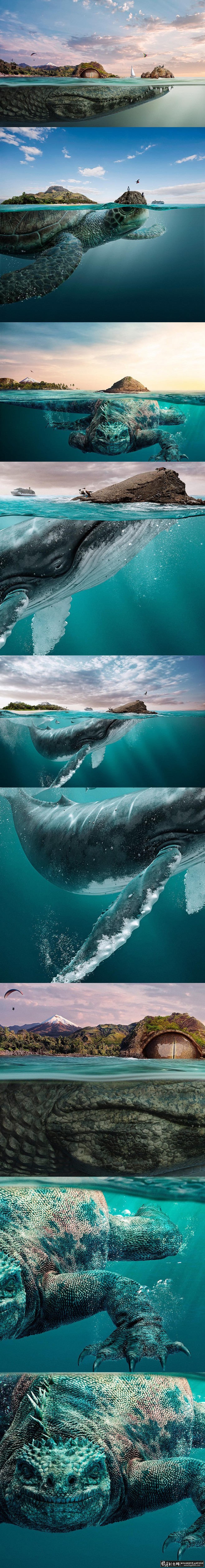 阿坤哥的個(gè)人主頁（背景預(yù)覽） - 主頁背景設(shè)置 - 站酷設(shè)計(jì)師阿坤哥原創(chuàng)素材 - 站酷ZCOOL