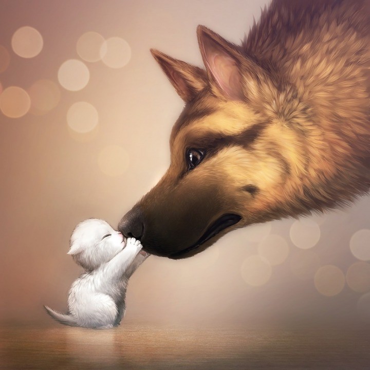 核域設(shè)計(jì)工作室的個(gè)人主頁（背景預(yù)覽） - 主頁背景設(shè)置 - 站酷設(shè)計(jì)師核域設(shè)計(jì)工作室原創(chuàng)素材 - 站酷ZCOOL