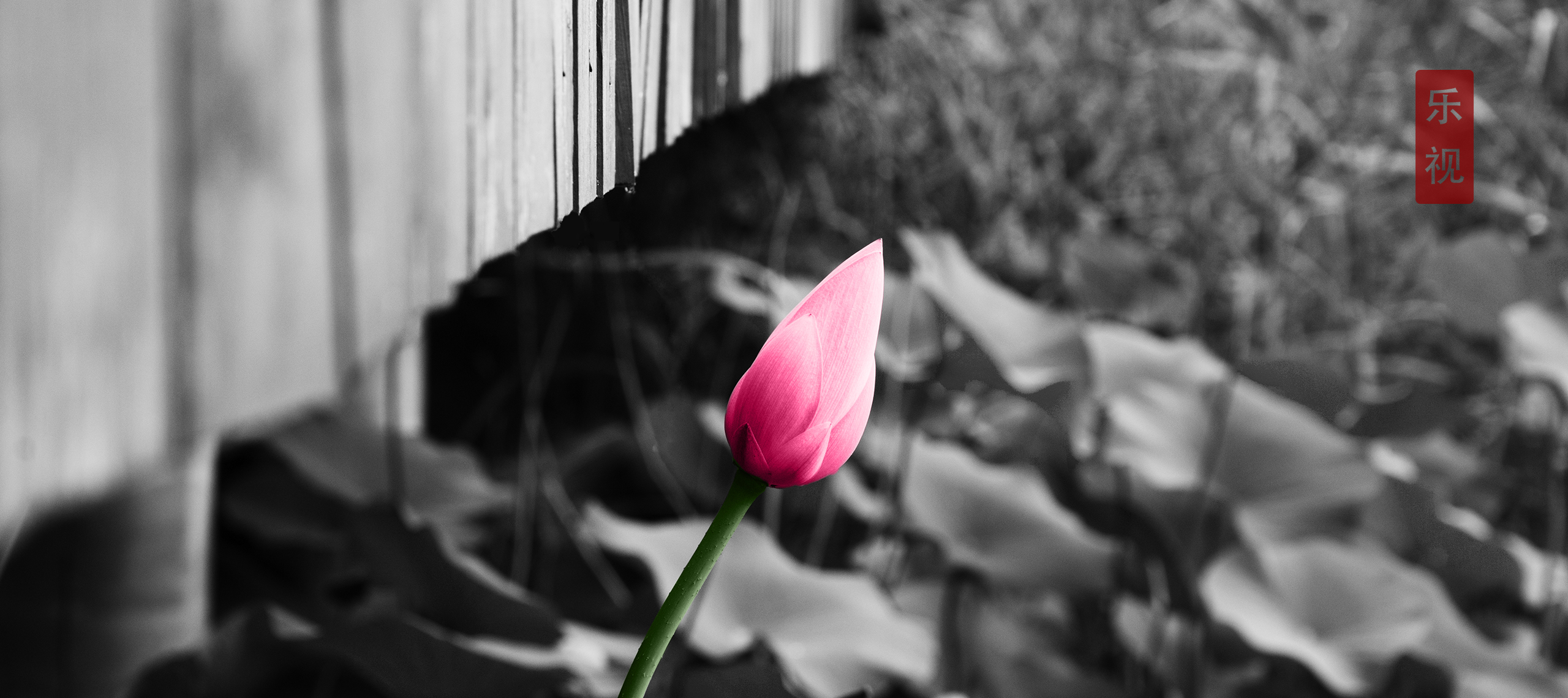 三角與檸檬的個人主頁（背景預覽） - 主頁背景設置 - 站酷設計師三角與檸檬原創(chuàng)素材 - 站酷ZCOOL