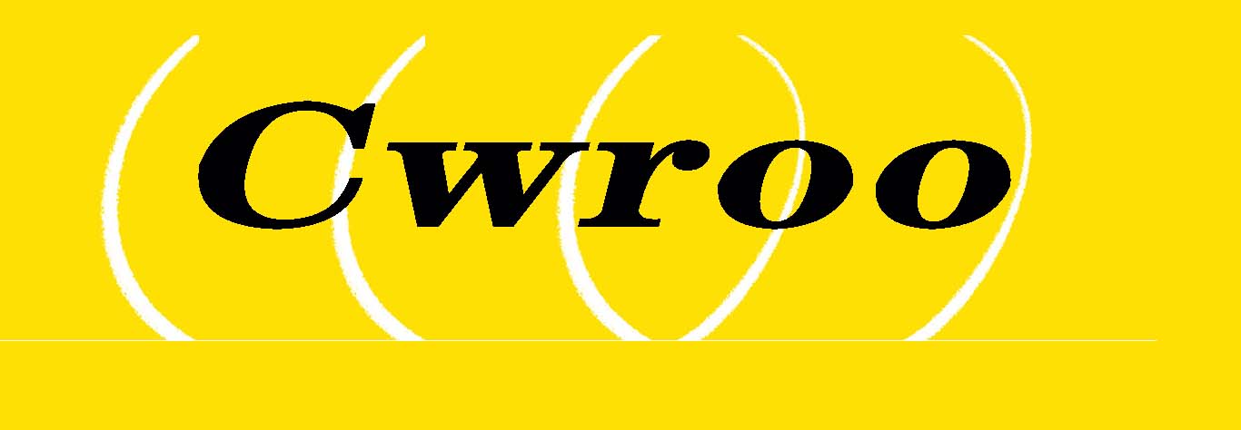 Cwroo椰子的个人主页（背景预览） - 主页背景设置 - 站酷设计师Cwroo椰子原创素材 - 站酷ZCOOL