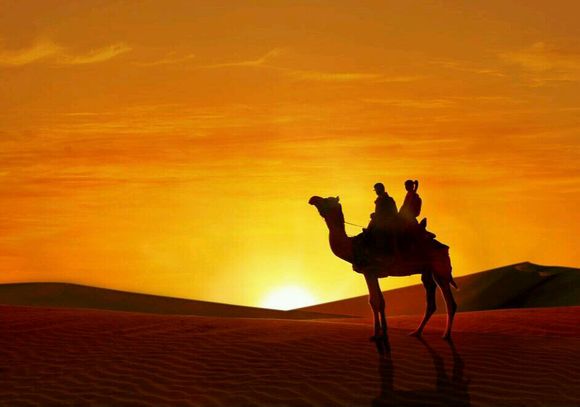 taotop2006的个人主页（背景预览） - 主页背景设置 - 站酷设计师taotop2006原创素材 - 站酷ZCOOL