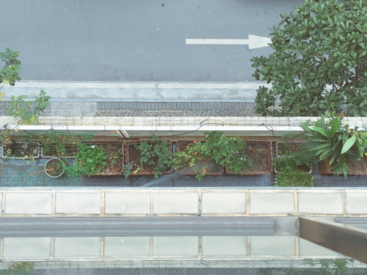 菌菌liu的個人主頁（背景預(yù)覽） - 主頁背景設(shè)置 - 站酷設(shè)計師菌菌liu原創(chuàng)素材 - 站酷ZCOOL