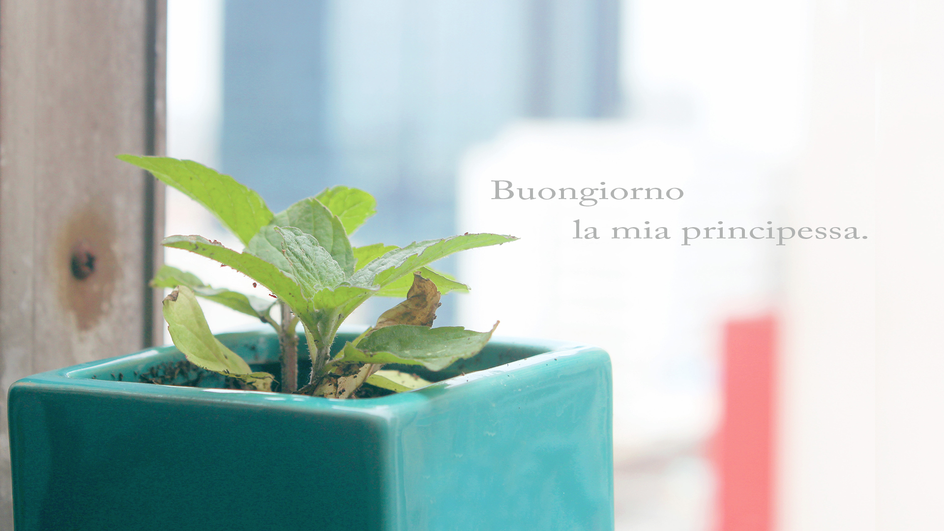 米修司的个人主页（背景预览） - 主页背景设置 - 站酷设计师米修司原创素材 - 站酷ZCOOL