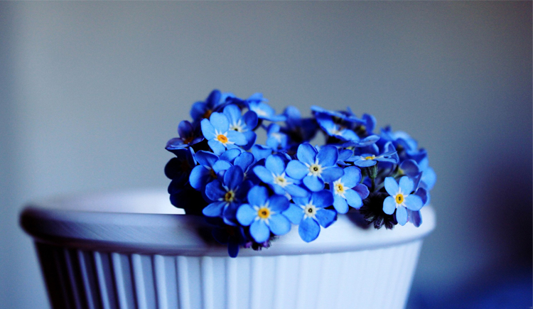 yyyang05的个人主页（背景预览） - 主页背景设置 - 站酷设计师yyyang05原创素材 - 站酷ZCOOL