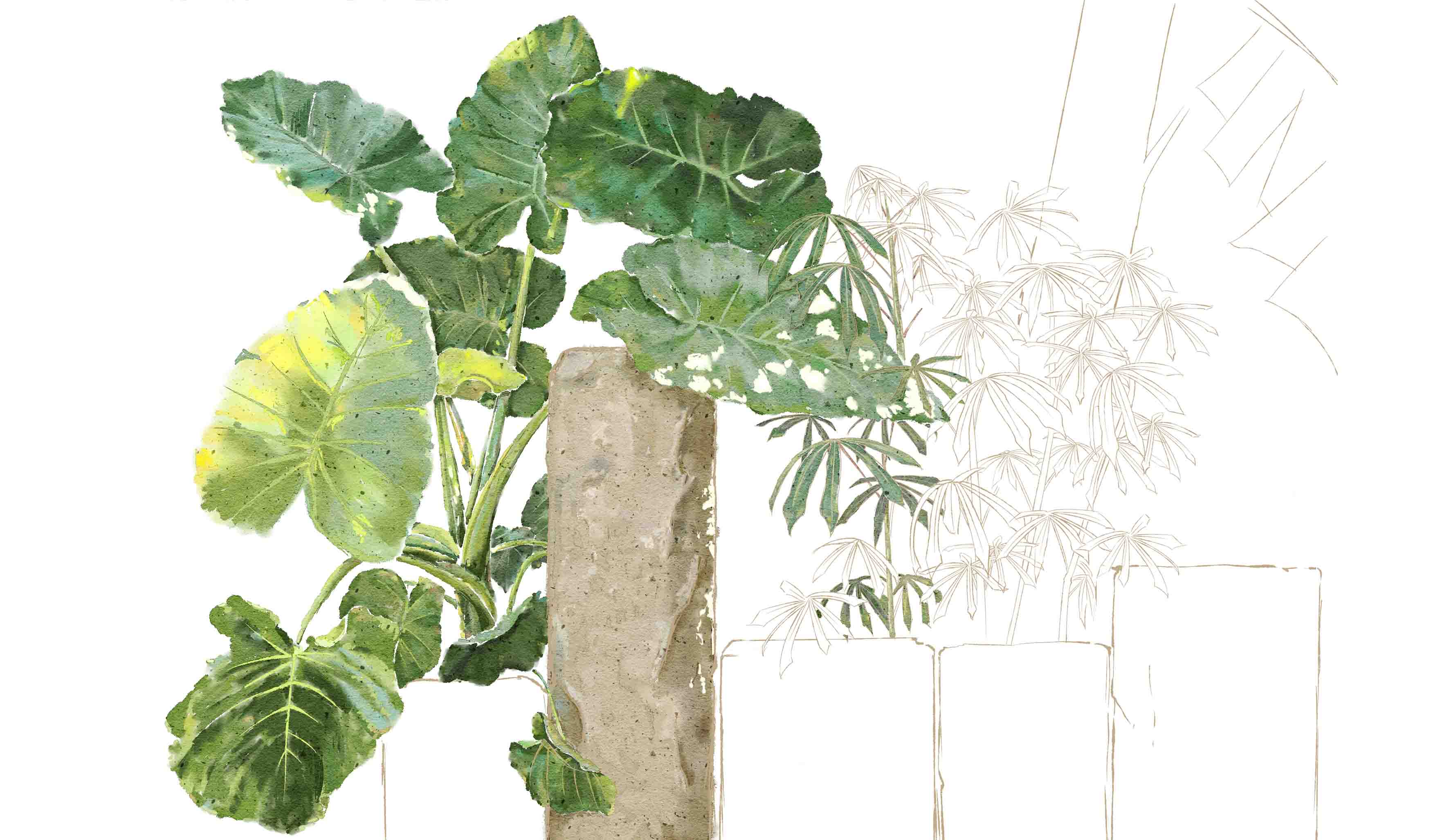 櫻仔_的個人主頁（背景預(yù)覽） - 主頁背景設(shè)置 - 站酷設(shè)計師櫻仔_原創(chuàng)素材 - 站酷ZCOOL