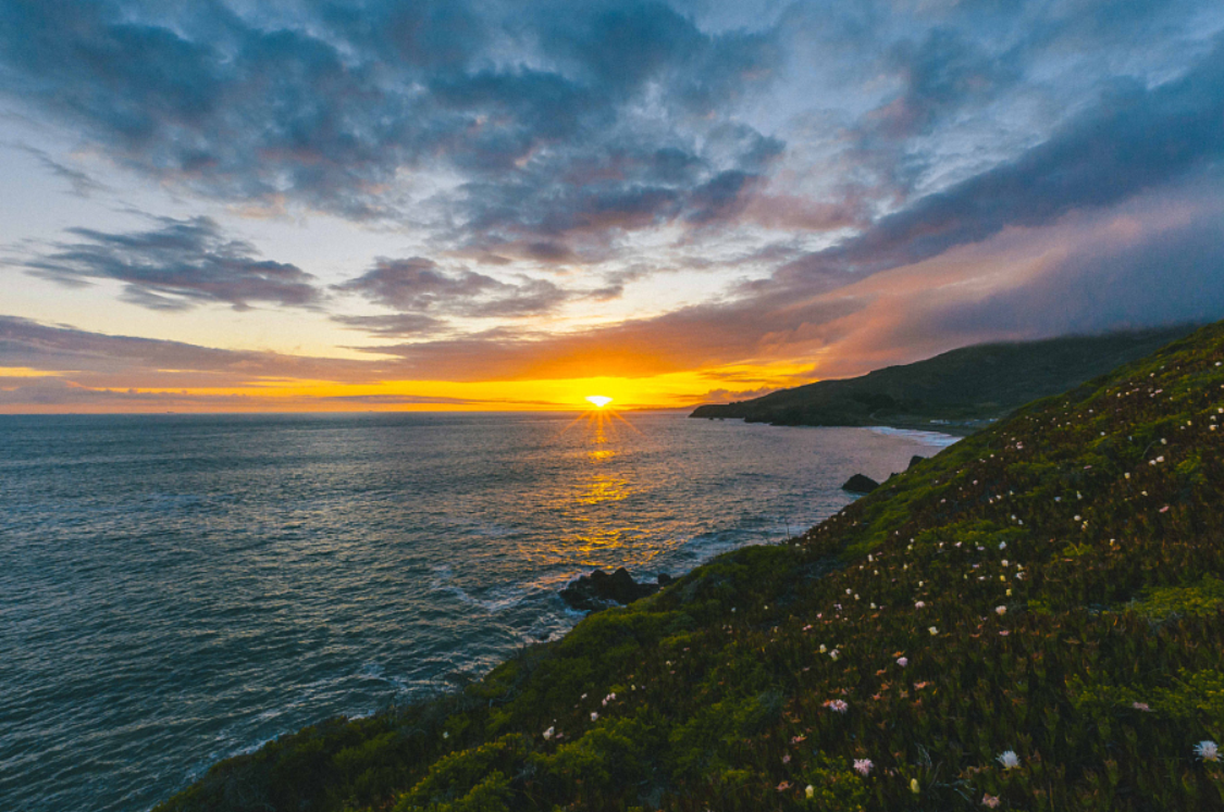 七月设计狮的个人主页（背景预览） - 主页背景设置 - 站酷设计师七月设计狮原创素材 - 站酷ZCOOL