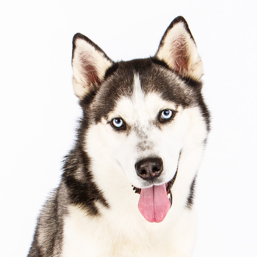 crystal_fx的个人主页（背景预览） - 主页背景设置 - 站酷设计师crystal_fx原创素材 - 站酷ZCOOL