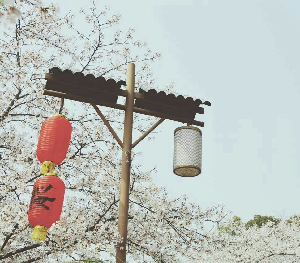 劉恩行LEH的個(gè)人主頁(yè)（背景預(yù)覽） - 主頁(yè)背景設(shè)置 - 站酷設(shè)計(jì)師劉恩行LEH原創(chuàng)素材 - 站酷ZCOOL