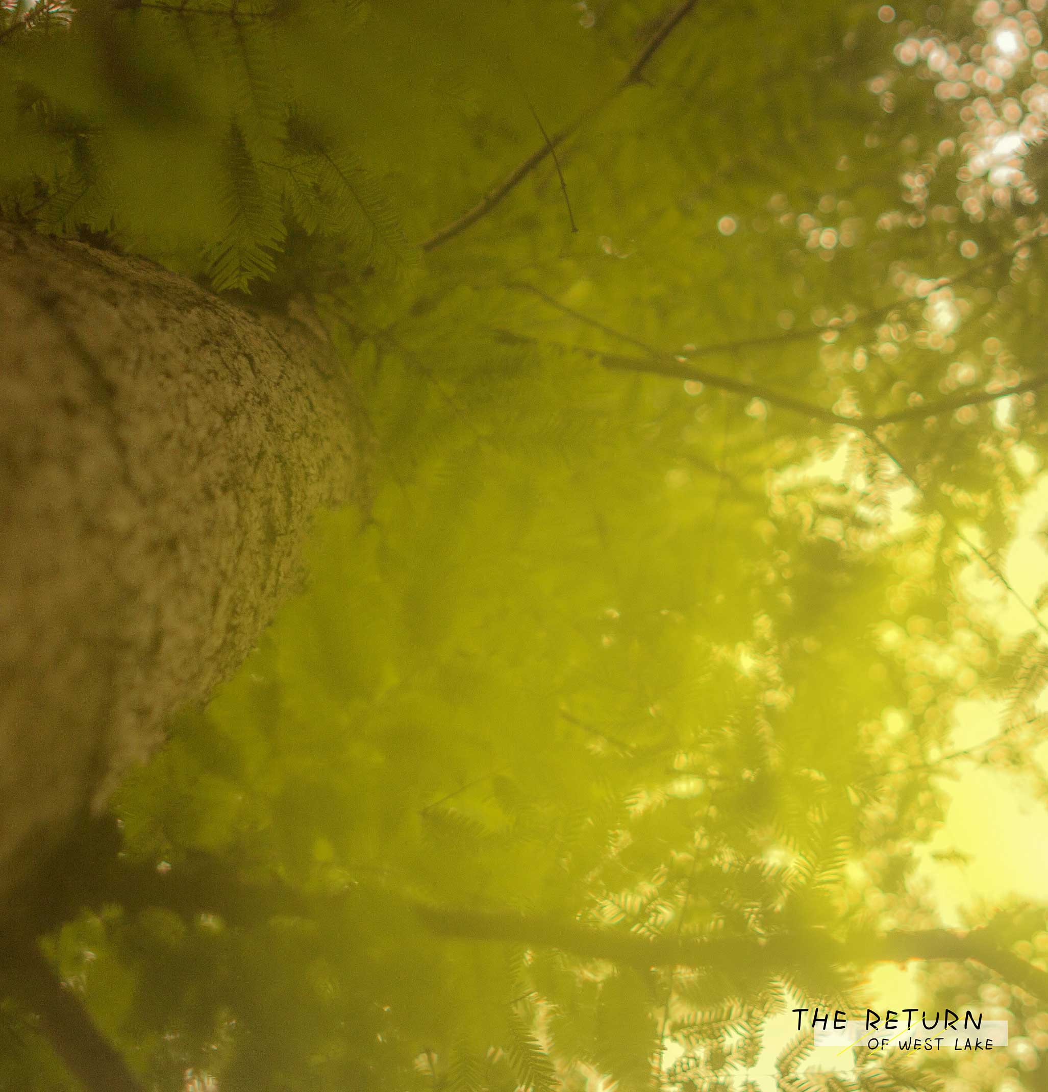 予我設(shè)計(jì)師的個(gè)人主頁(yè)（背景預(yù)覽） - 主頁(yè)背景設(shè)置 - 站酷設(shè)計(jì)師予我設(shè)計(jì)師原創(chuàng)素材 - 站酷ZCOOL