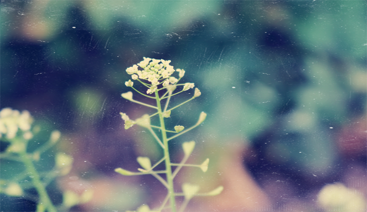 溪上桃花無數(shù)的個人主頁（背景預覽） - 主頁背景設(shè)置 - 站酷設(shè)計師溪上桃花無數(shù)原創(chuàng)素材 - 站酷ZCOOL