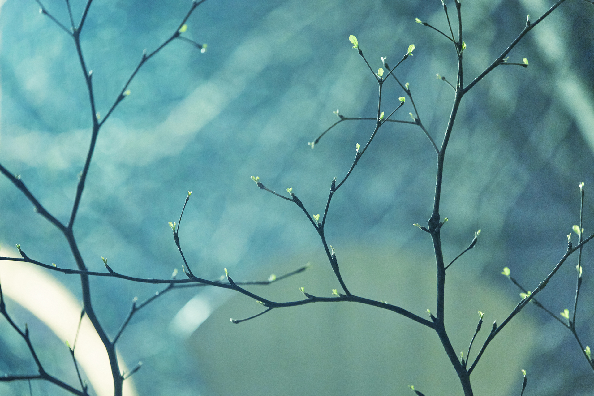 KENROSTUDIO的个人主页（背景预览） - 主页背景设置 - 站酷设计师KENROSTUDIO原创素材 - 站酷ZCOOL