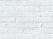 shidandan的个人主页（背景预览） - 主页背景设置 - 站酷设计师shidandan原创素材 - 站酷ZCOOL