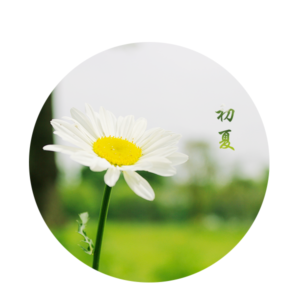 鍋里的魚丸的個(gè)人主頁（背景預(yù)覽） - 主頁背景設(shè)置 - 站酷設(shè)計(jì)師鍋里的魚丸原創(chuàng)素材 - 站酷ZCOOL