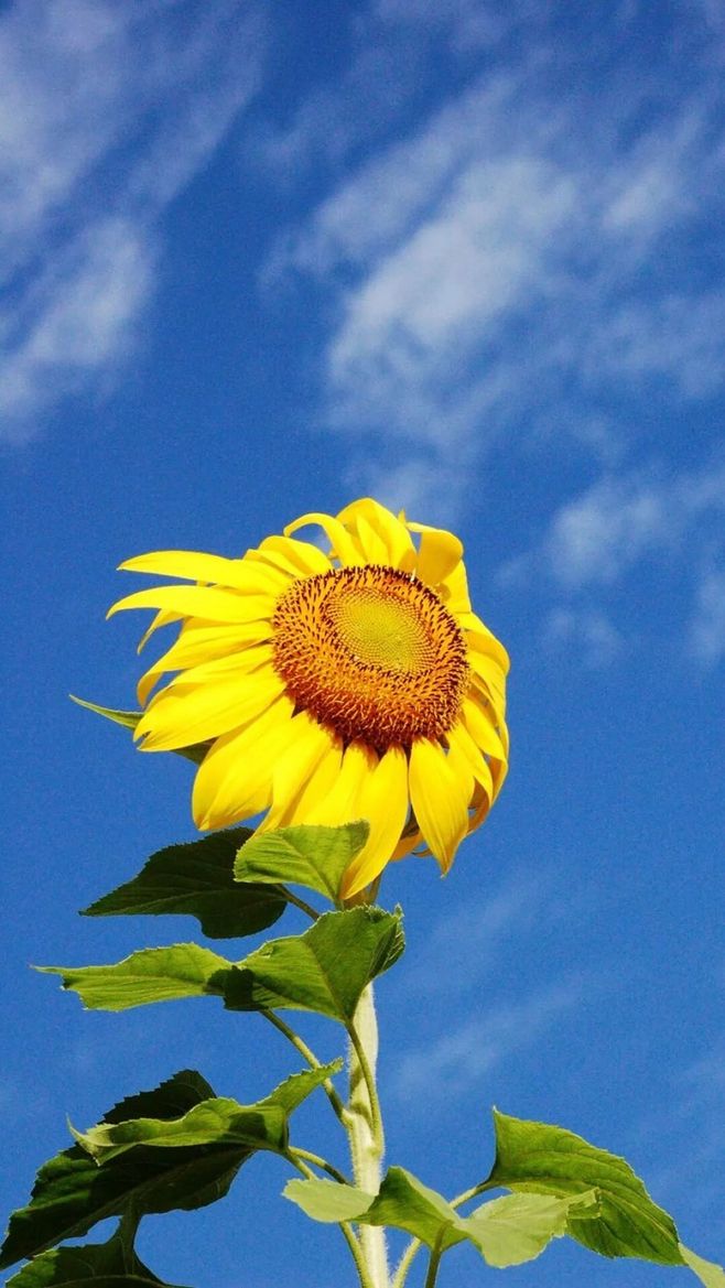 晚霞未晚的个人主页（背景预览） - 主页背景设置 - 站酷设计师晚霞未晚原创素材 - 站酷ZCOOL