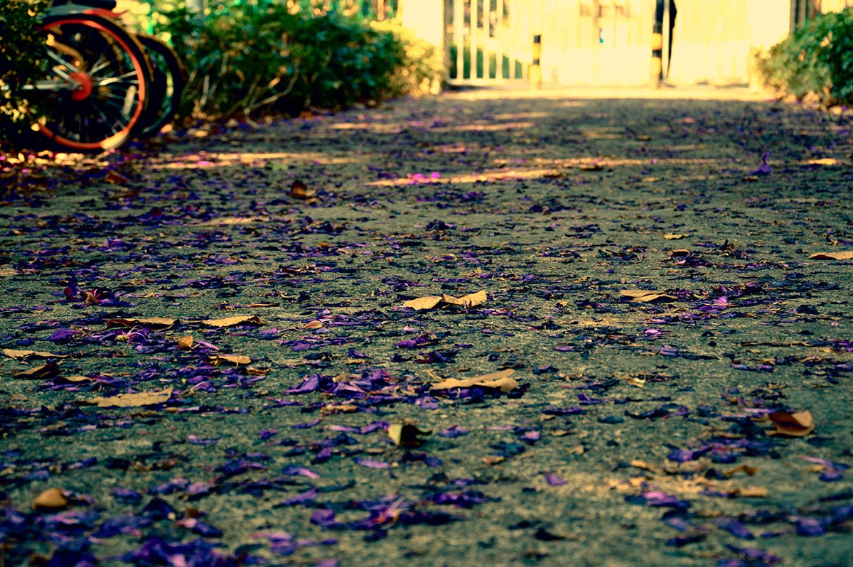 旅徒2的个人主页（背景预览） - 主页背景设置 - 站酷设计师旅徒2原创素材 - 站酷ZCOOL