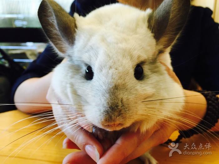 GUWENJ的个人主页（背景预览） - 主页背景设置 - 站酷设计师GUWENJ原创素材 - 站酷ZCOOL