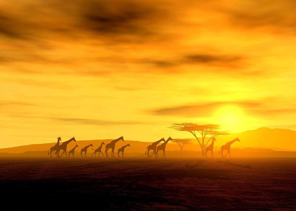 陶西竹Yanthline的個(gè)人主頁(yè)（背景預(yù)覽） - 主頁(yè)背景設(shè)置 - 站酷設(shè)計(jì)師陶西竹Yanthline原創(chuàng)素材 - 站酷ZCOOL