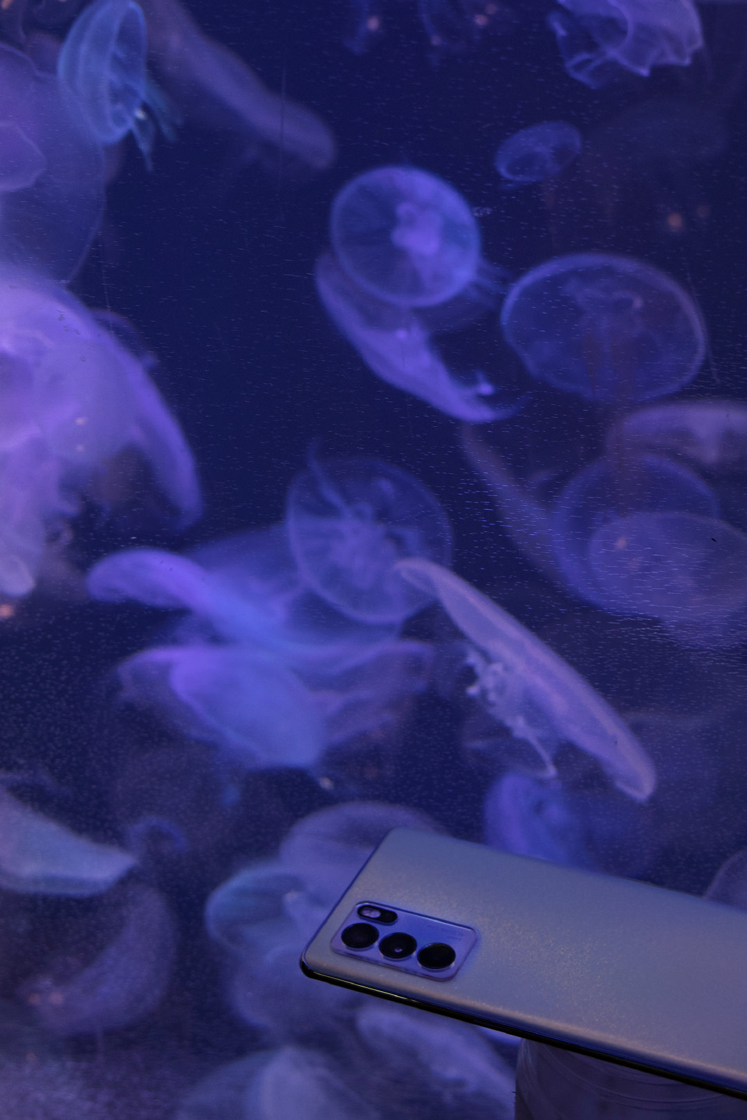 四维小小的个人主页（背景预览） - 主页背景设置 - 站酷设计师四维小小原创素材 - 站酷ZCOOL