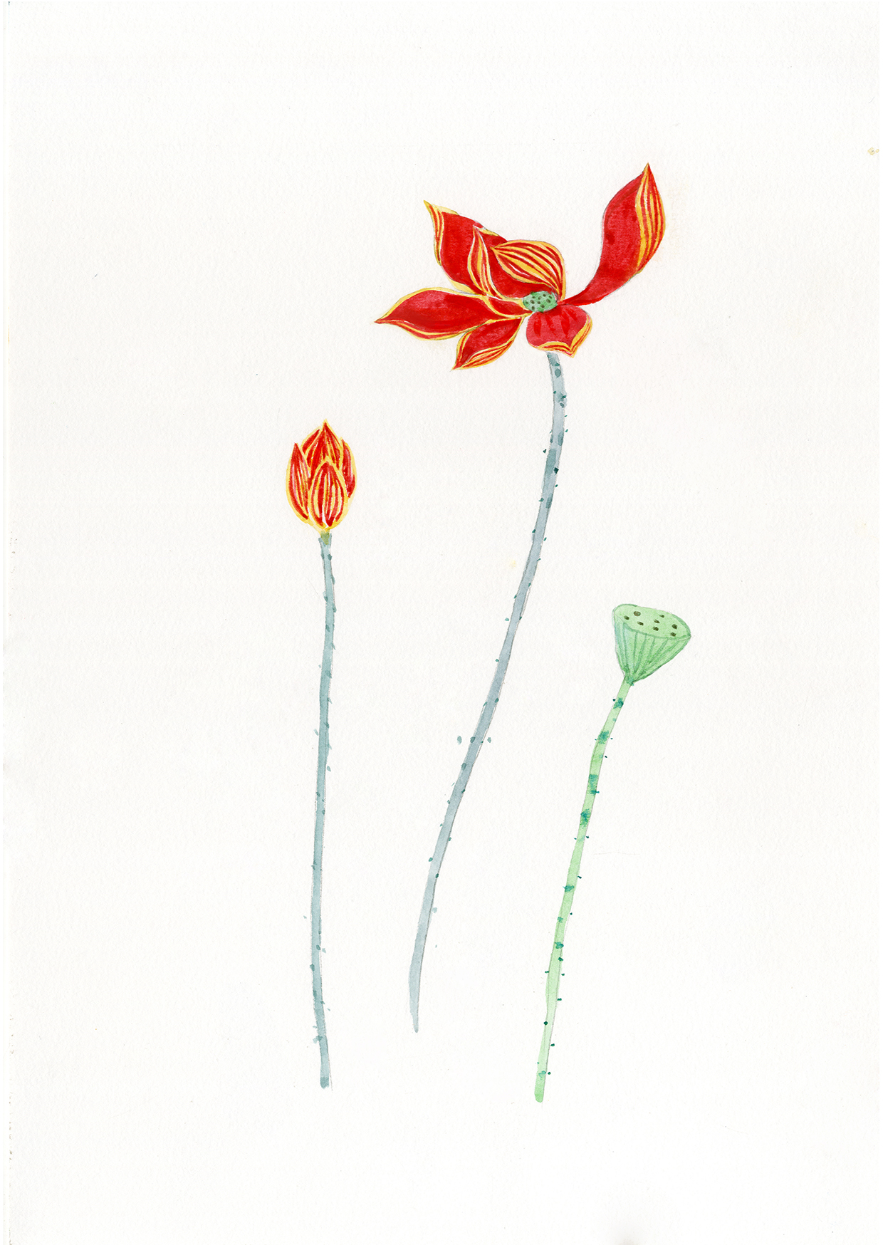 星水杉的个人主页（背景预览） - 主页背景设置 - 站酷设计师星水杉原创素材 - 站酷ZCOOL