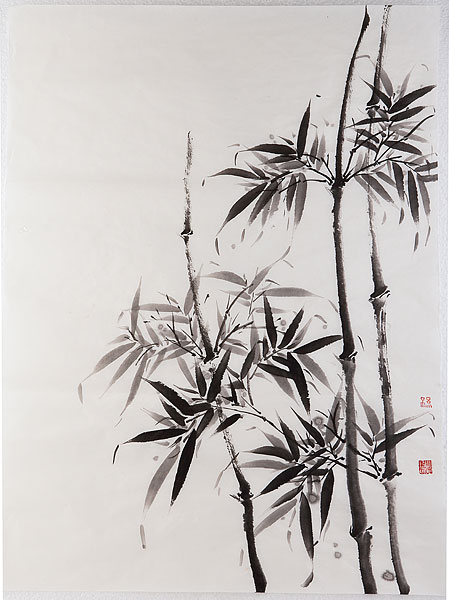 杨乐雪儿的个人主页(背景预览) - 主页背景设置 - 站酷设计师杨乐雪儿原创素材 - 站酷ZCOOL
