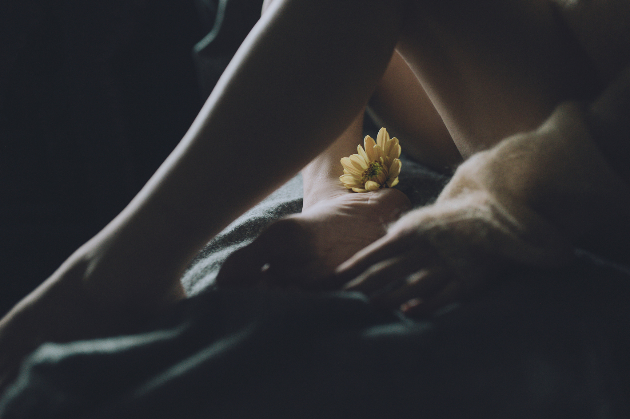 安哥哥ya的個人主頁（背景預覽） - 主頁背景設置 - 站酷設計師安哥哥ya原創(chuàng)素材 - 站酷ZCOOL