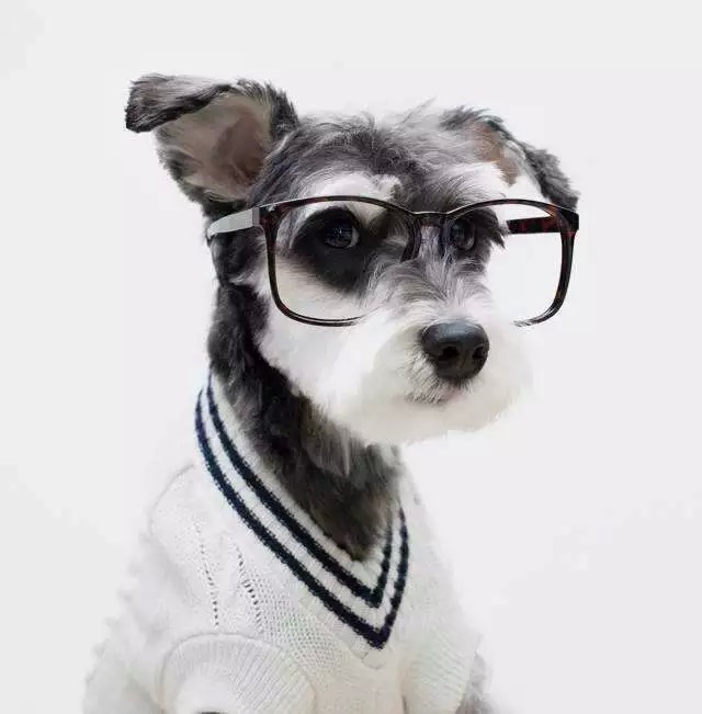 Ljx_Star的个人主页（背景预览） - 主页背景设置 - 站酷设计师Ljx_Star原创素材 - 站酷ZCOOL