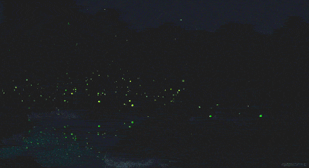 辣椒廣君的個人主頁（背景預(yù)覽） - 主頁背景設(shè)置 - 站酷設(shè)計師辣椒廣君原創(chuàng)素材 - 站酷ZCOOL