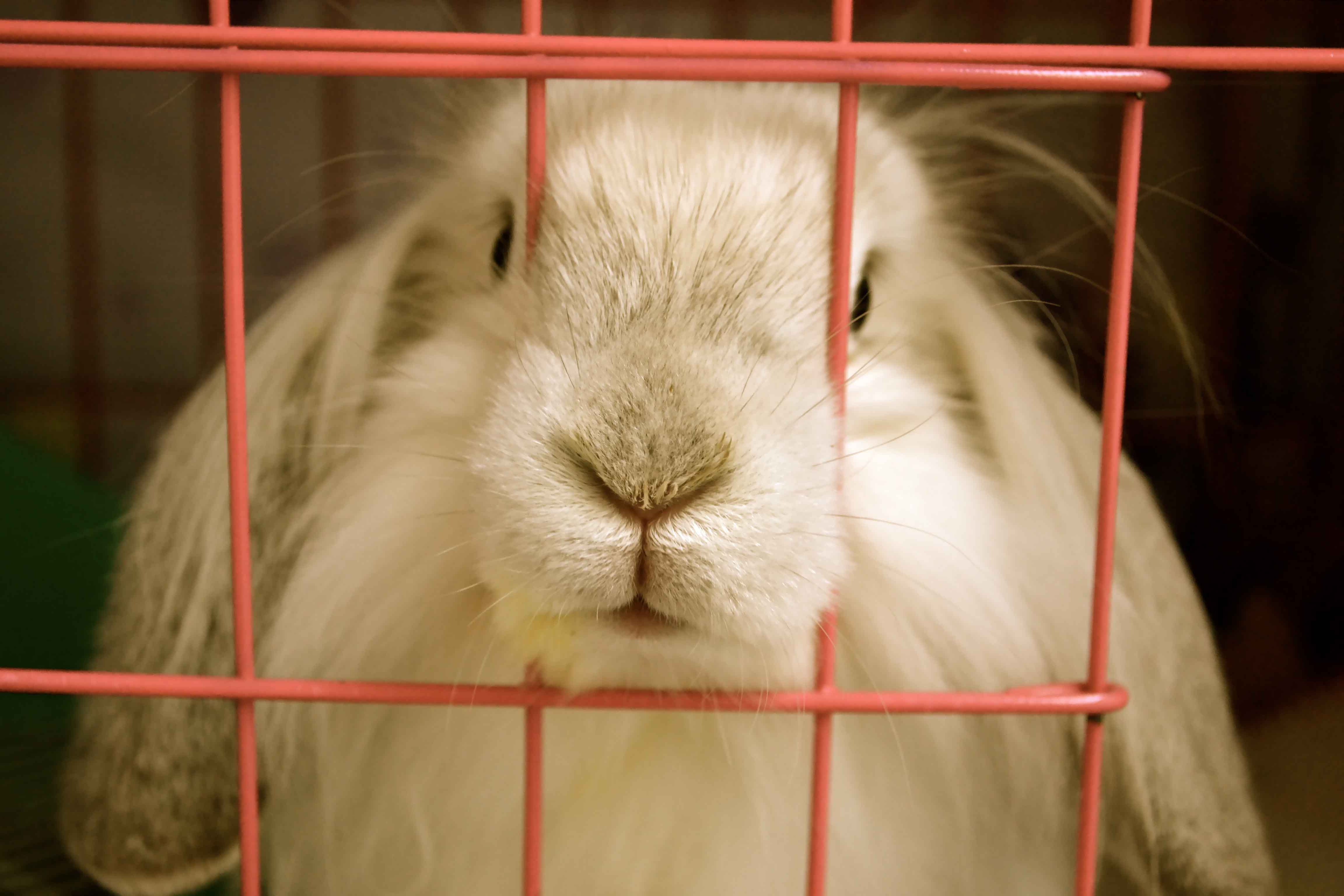 李腾Rose的个人主页（背景预览） - 主页背景设置 - 站酷设计师李腾Rose原创素材 - 站酷ZCOOL