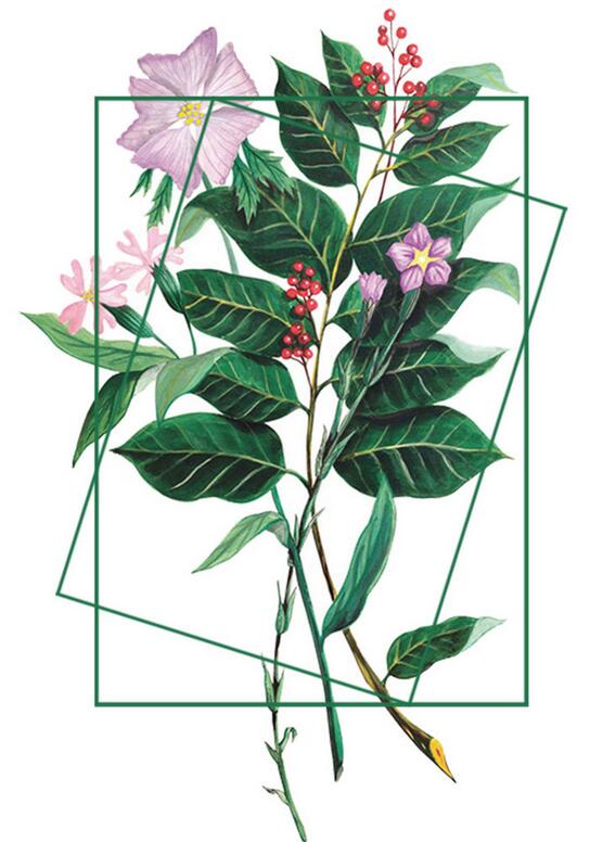 独居匠心的个人主页（背景预览） - 主页背景设置 - 站酷设计师独居匠心原创素材 - 站酷ZCOOL