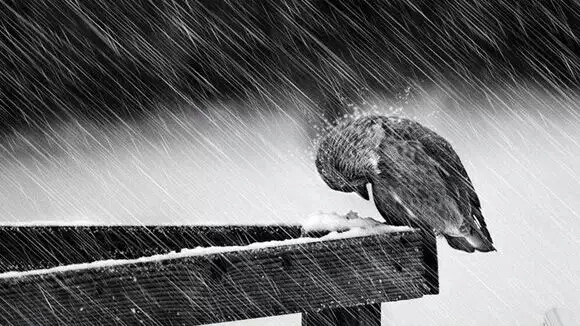 behold必厚設(shè)計(jì)的個(gè)人主頁(yè)（背景預(yù)覽） - 主頁(yè)背景設(shè)置 - 站酷設(shè)計(jì)師behold必厚設(shè)計(jì)原創(chuàng)素材 - 站酷ZCOOL