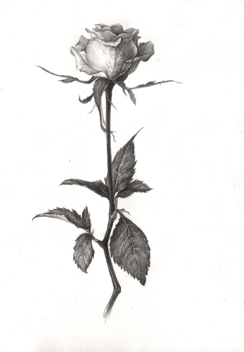 bingganzhong的个人主页（背景预览） - 主页背景设置 - 站酷设计师bingganzhong原创素材 - 站酷ZCOOL