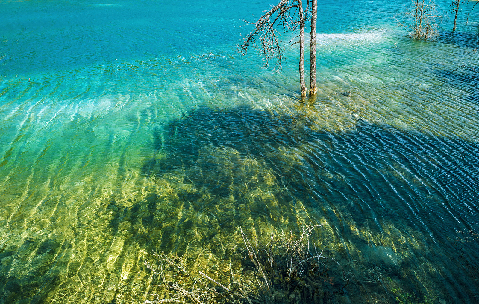 清水佐津紀的个人主页（背景预览） - 主页背景设置 - 站酷设计师清水佐津紀原创素材 - 站酷ZCOOL