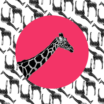 c_dan的个人主页（背景预览） - 主页背景设置 - 站酷设计师c_dan原创素材 - 站酷ZCOOL