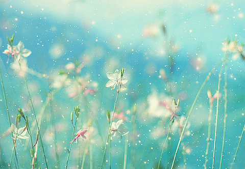 miu小友的个人主页（背景预览） - 主页背景设置 - 站酷设计师miu小友原创素材 - 站酷ZCOOL