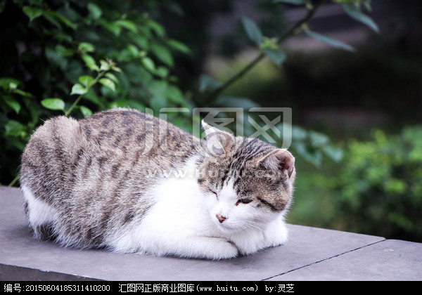 WhiteBunny的個(gè)人主頁（背景預(yù)覽） - 主頁背景設(shè)置 - 站酷設(shè)計(jì)師WhiteBunny原創(chuàng)素材 - 站酷ZCOOL