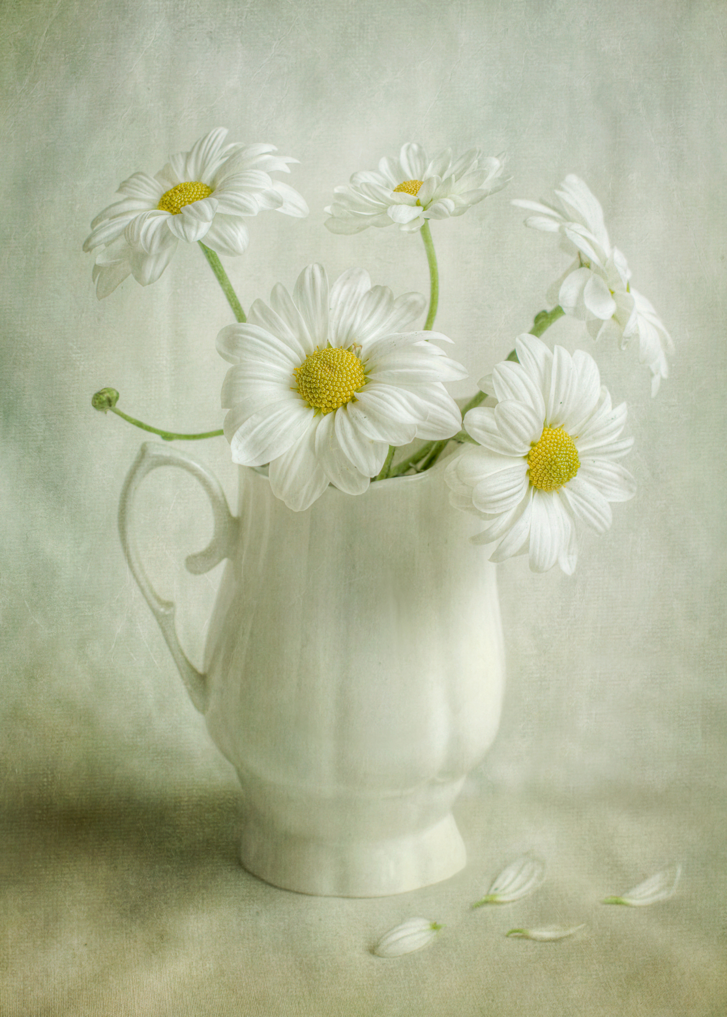 honelotus的個人主頁（背景預覽） - 主頁背景設置 - 站酷設計師honelotus原創(chuàng)素材 - 站酷ZCOOL