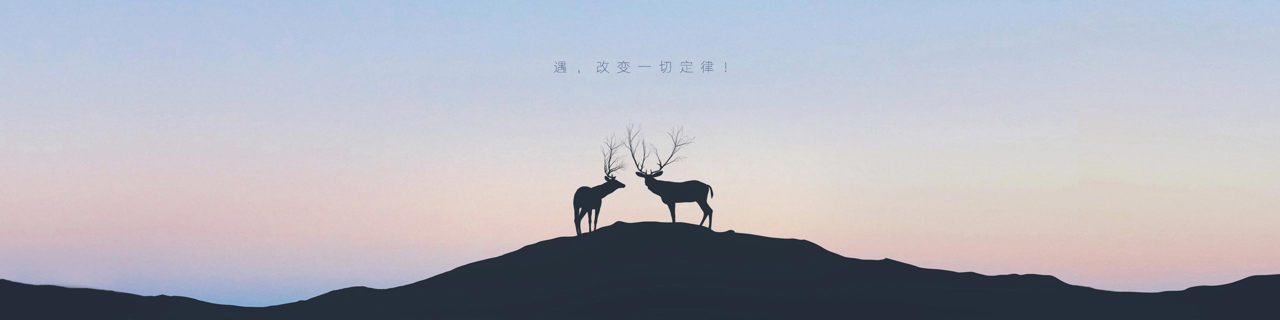 小胖维起风了的个人主页（背景预览） - 主页背景设置 - 站酷设计师小胖维起风了原创素材 - 站酷ZCOOL