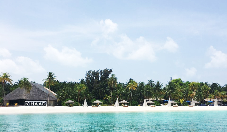 fannienina的个人主页（背景预览） - 主页背景设置 - 站酷设计师fannienina原创素材 - 站酷ZCOOL