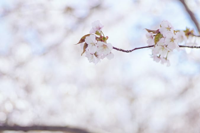 刘雪雪的个人主页（背景预览） - 主页背景设置 - 站酷设计师刘雪雪原创素材 - 站酷ZCOOL