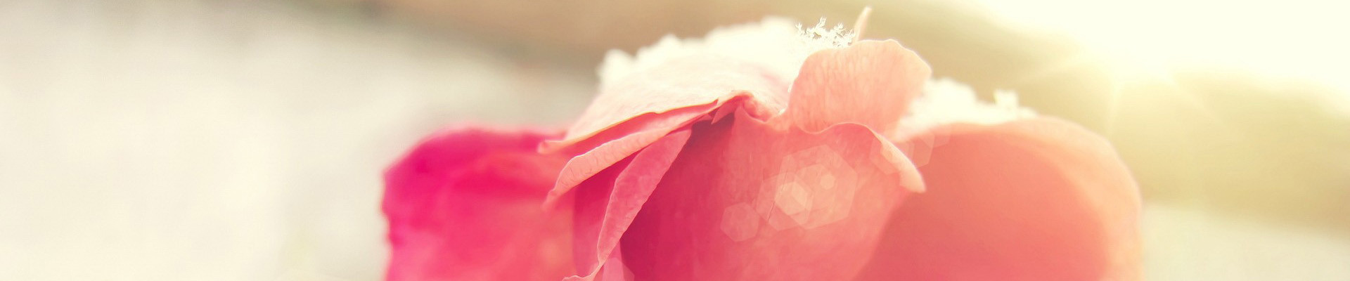 安东奈尔的个人主页（背景预览） - 主页背景设置 - 站酷设计师安东奈尔原创素材 - 站酷ZCOOL