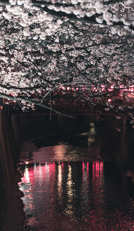 邓有柱的个人主页（背景预览） - 主页背景设置 - 站酷设计师邓有柱原创素材 - 站酷ZCOOL