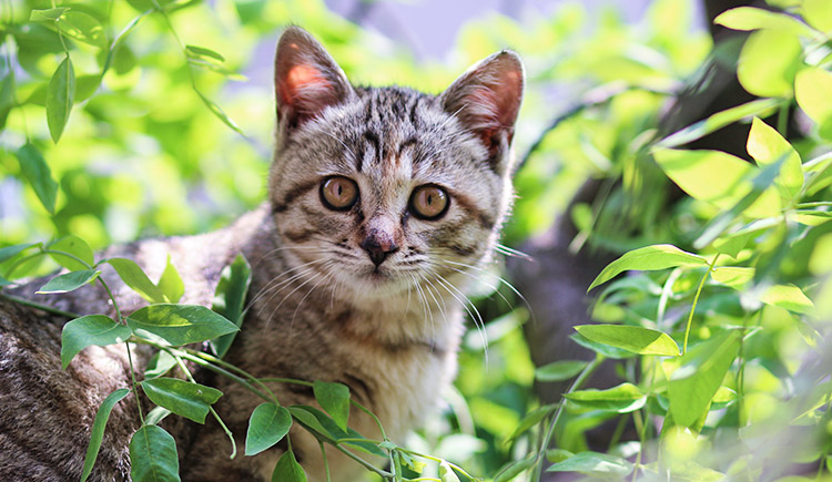 可乐河谷的个人主页（背景预览） - 主页背景设置 - 站酷设计师可乐河谷原创素材 - 站酷ZCOOL
